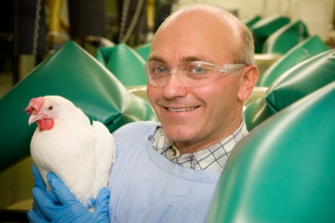 Mark Tizard holding a hen