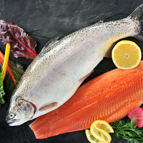 Picture of whole and a filet of salmon